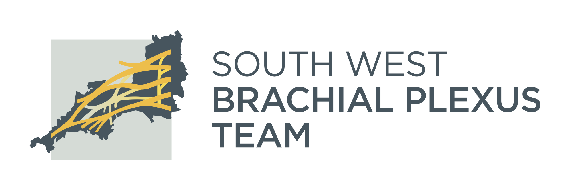 Southwest Brachial Plexus Team (SWePT)